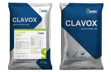 Clavox